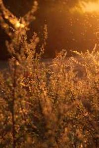 苹果版soul在哪下载-第3张图片-太平洋在线下载 苹果版soul在哪下载-第3张图片-太平洋在线下载