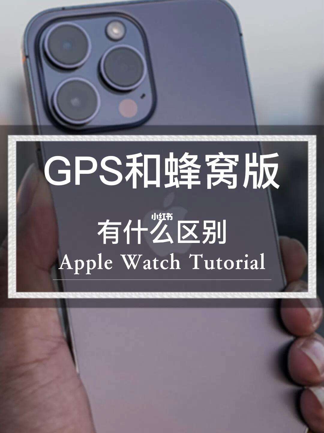 苹果o什么版苹果官网入口15-第2张图片-太平洋在线下载